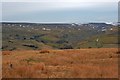 NZ0101 : Slei Gill by Mick Garratt