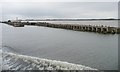 SJ4982 : The disused Bridgewater lock by Christine Johnstone