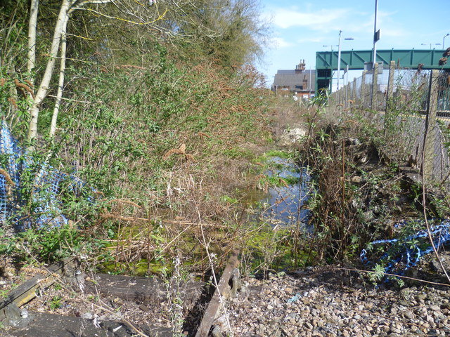 Old siding at Lenham station