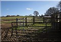 SX8085 : Animal pen near Laployd Barton by Derek Harper