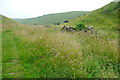 SK1959 : Bridleway through Long Dale by Graham Horn