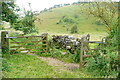 SK2059 : Bridleways in Gratton Dale by Graham Horn