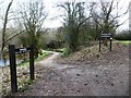 SJ7255 : Footpath junction at Springfield Copse by Christine Johnstone