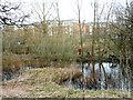 SJ7255 : Walking the dog by Valley Brook by Christine Johnstone