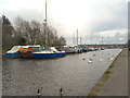 SJ5184 : Sankey Canal, Spike Island by David Dixon