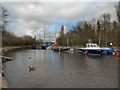 SJ5184 : The Sankey Canal at Spike Island by David Dixon