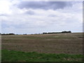 TM4072 : Fields off the entrance to South Manor Farm by Geographer