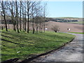 NT5848 : Picnic site near Dod Mill by Barbara Carr