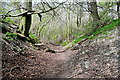 SU6991 : Bridleway from Cookley Green by Graham Horn