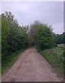 TM3769 : Footpath to the A1120 Yoxford Road & entrance to Park Cottage by Geographer