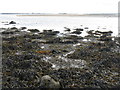 NB4635 : Sron Ruadh at low tide by M J Richardson