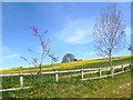 SU5376 : Hillside, Hampstead Norreys by Des Blenkinsopp