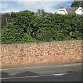 SX9473 : Sandstone-faced retaining wall, Dawlish Road, Teignmouth by Robin Stott