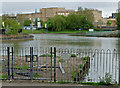 TQ6988 : Gloucester Park Lakes by John Allan