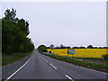 TM3989 : B1062 Bungay Road, Barsham by Geographer