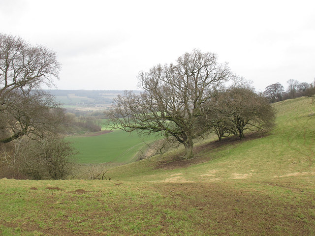 Into the combe