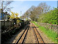 TR1534 : The Light Railway leaving Hythe by Chris Heaton