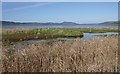 NH5746 : Edge of the Beauly Firth by Craig Wallace