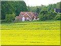 SU4833 : Next to the Rape Seed Field by Mike Smith