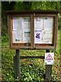 TM1138 : Bentley Church Notice Board by Geographer