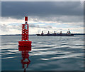 J4785 : Helens Bay Buoy, Belfast Lough by Rossographer