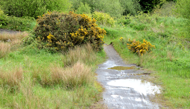 BMX track, Lambeg