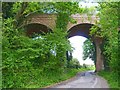 SU5333 : Railway Viaduct by Mike Smith