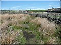 SE0429 : The Calderdale Way approaching Lumb Lane by Humphrey Bolton