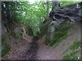 TQ4944 : Sunken lane on the Eden Valley Walk by Marathon