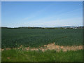 NU0342 : Arable land near Lowlynn Mill by Graham Robson