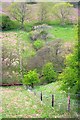 SE8492 : Fence Crossing, Levisham Beck by Mick Garratt