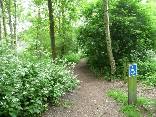 Wheelchair accessible route, Blidworth Woods