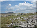 SD7972 : Limestone pavement at Moughton by Trevor Littlewood