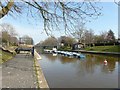 TR1634 : Rowing boats on the Royal Military Canal by John Baker