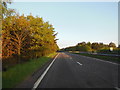 SX8492 : The A30 at Alder Beer Copse by Ian S