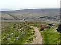 SE0012 : Pennine Way and A640, Marsden Moor by David Dixon