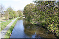 NT1770 : Union Canal from Hermiston Bridge by Anne Burgess