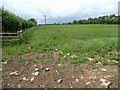 SK8918 : Farmland with bridleway by Christine Johnstone