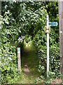 TM1241 : Footpath off Church Lane by Geographer