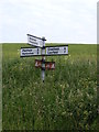 TM2680 : Roadsign on Mill Lane by Geographer