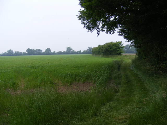 Footpath to Further Green Farm & Clay Common Lane