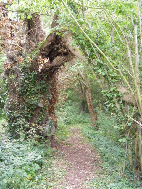 Footpath off Clay Common Lane