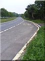 TM4781 : Bus Stop on the A12 London Road by Geographer