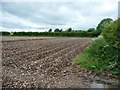 SE8256 : Corner of a recently-ploughed chalky field by Christine Johnstone