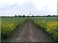 TM3276 : Footpath to Linstead Road by Geographer