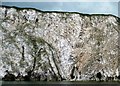 TA2073 : Folded strata, Scale Nab, Bempton Cliffs by Christine Johnstone