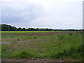 TM4079 : Farmland off Scalesbrook Lane by Geographer