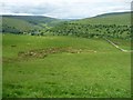 SD9478 : Sheep pasture, west of Buckden Rake by Christine Johnstone