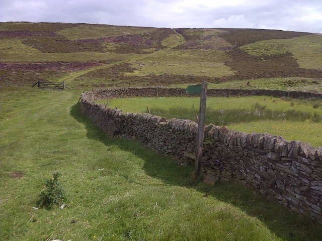 Dry Stone Wall, Abney Moor