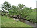 SD8880 : The River Wharfe, below a dry waterfall by Christine Johnstone